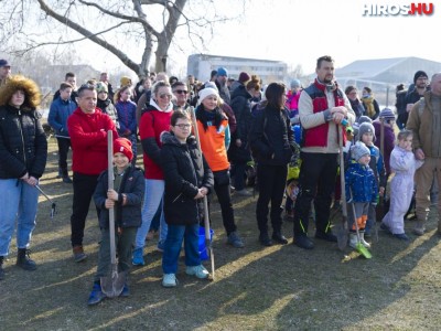 Több száz önkéntessel indult el a parkerdő-telepítés a Kecskeméti Fürdő mögött - Videóval