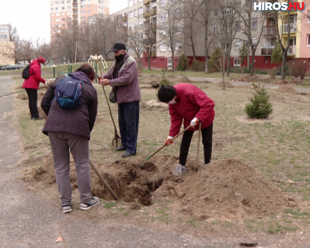 140 fát ültettek a Lánchíd utcai óvoda mögötti játszótérre – VIDEÓVAL