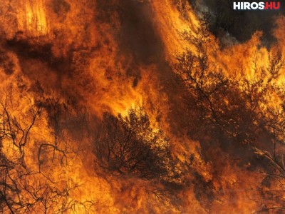 Szalkszentmárton közelében pusztítanak a lángok