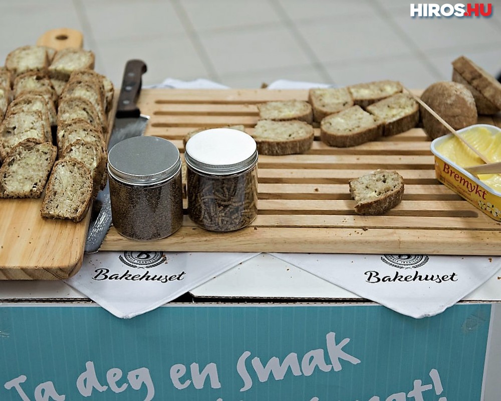 Norvégiában már kapható a rovarlisztből készült kenyér