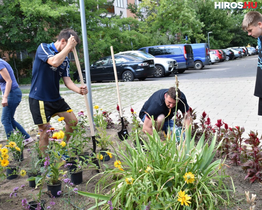 Ezúttal az Eleven parknál alakítottak ki közösségi keretet 