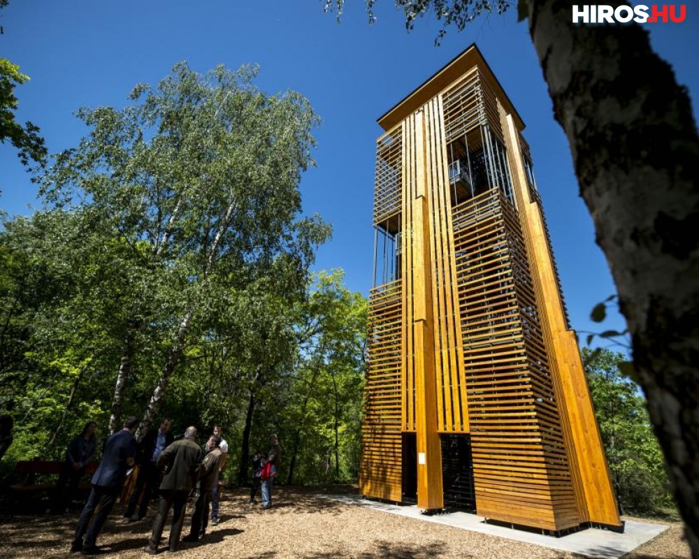 Látogatható az Arborétum új kilátója - Videóval