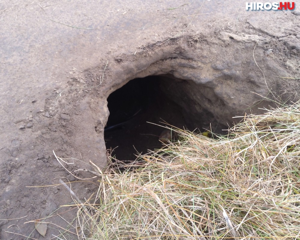 Újabb alagutat találtak a Bács-Kiskun megyei határszakaszon - Videóval