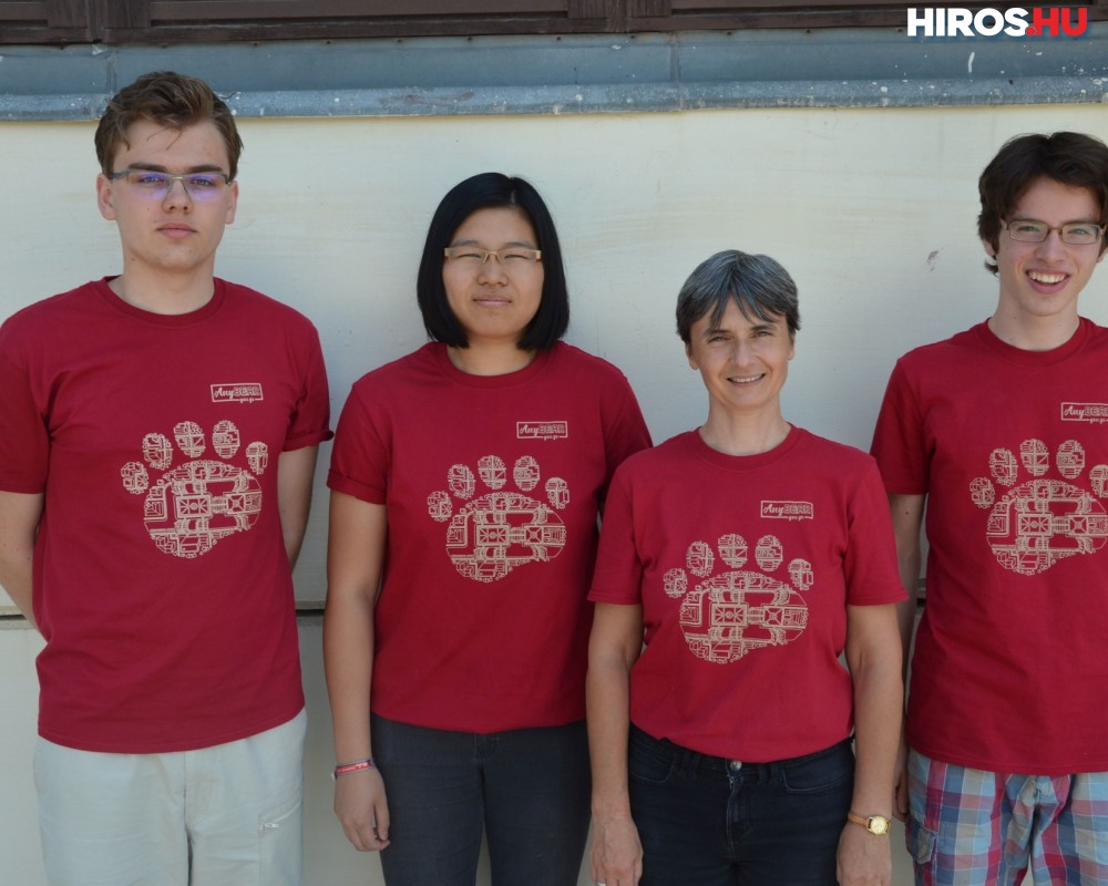 Bolyais csapat országos sikere a Medve Szabadtéri Matematikaversenyen