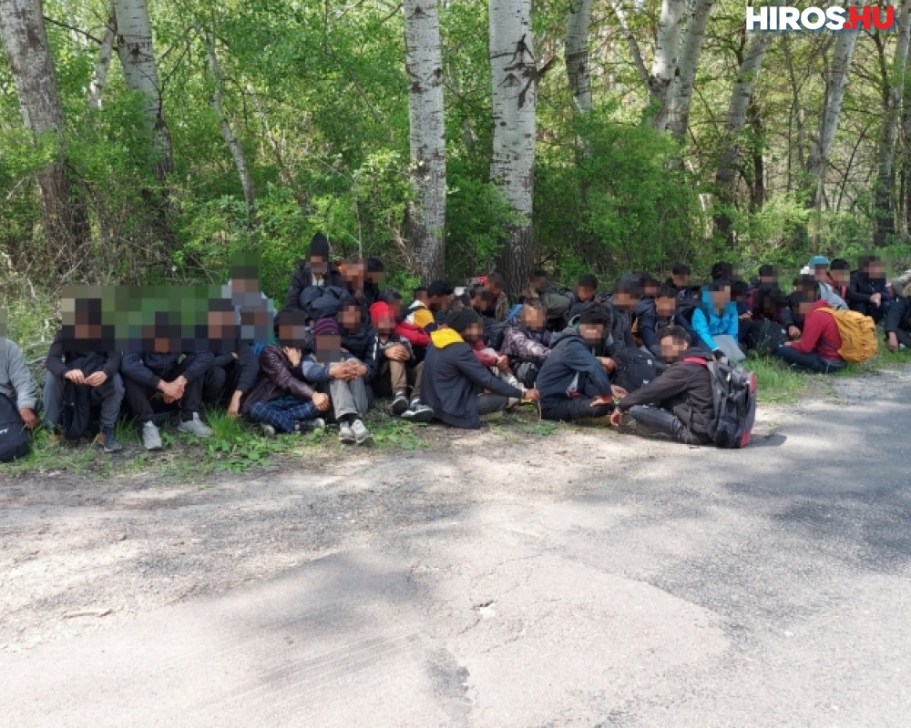 51 fős migránscsoportot tartóztattak fel Balotaszállásnál