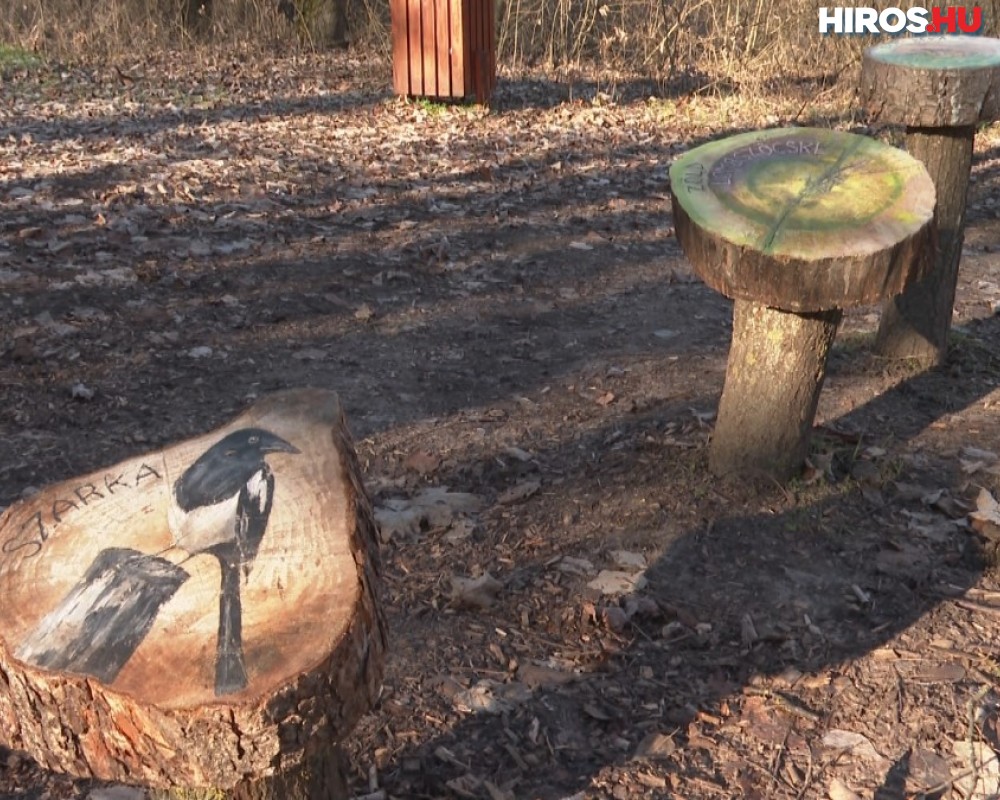 Különleges faszobrok az arborétumban – Videóval