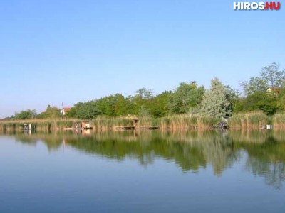 Újjáélesztik a Holt-Tisza és három holtágának élővilágát Tiszakécske térségében