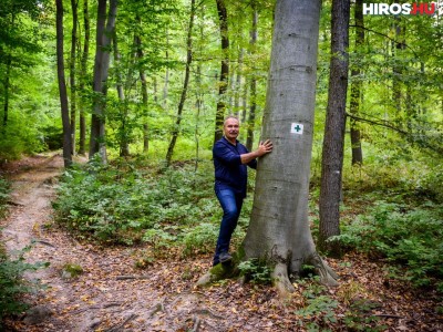 Megerősítette az erdők fokozott védelmét az agrárminiszter