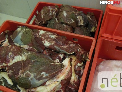 Több mint 2,5 tonna húst vont ki a forgalomból a Nébih Kalocsán