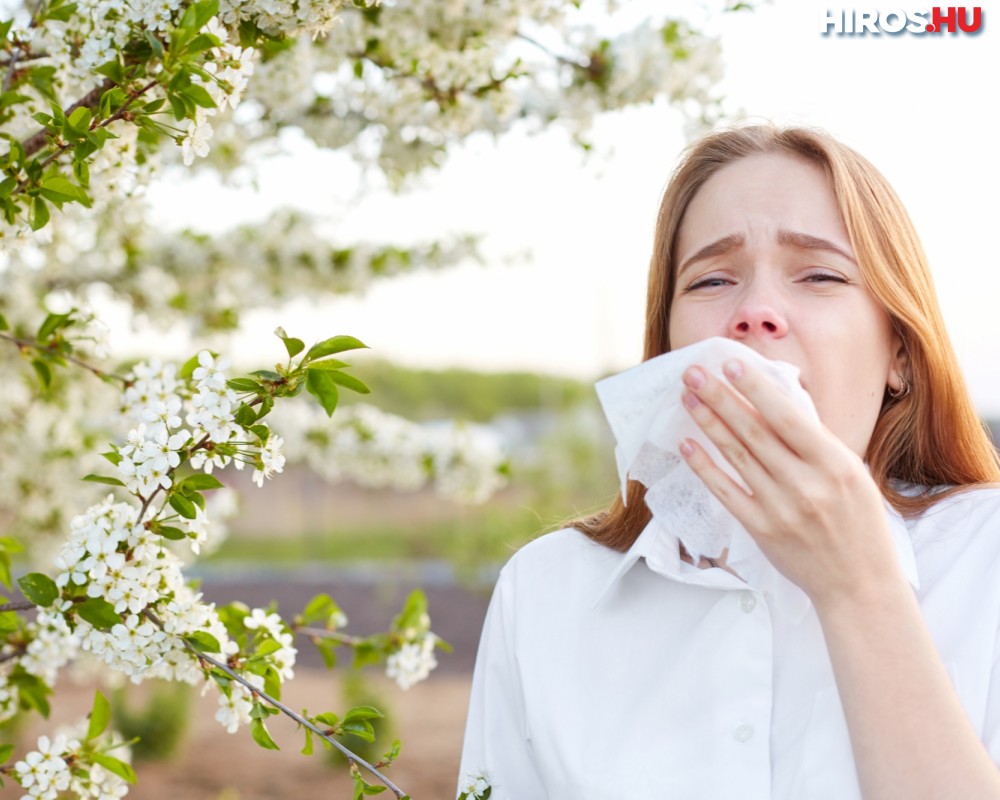 Pollenhelyzet - NNK: erősödhetnek az allergiás tünetek