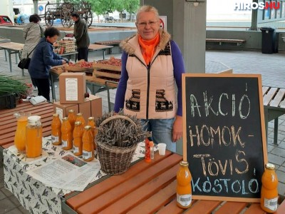 Árus portrék a piacról: Balaton Mária