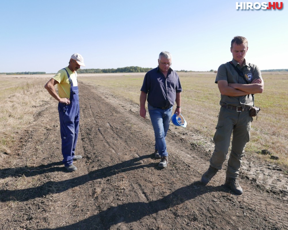 Máté Bence segítette a Nemzeti Közművek madárbarát hálózatának bővítését