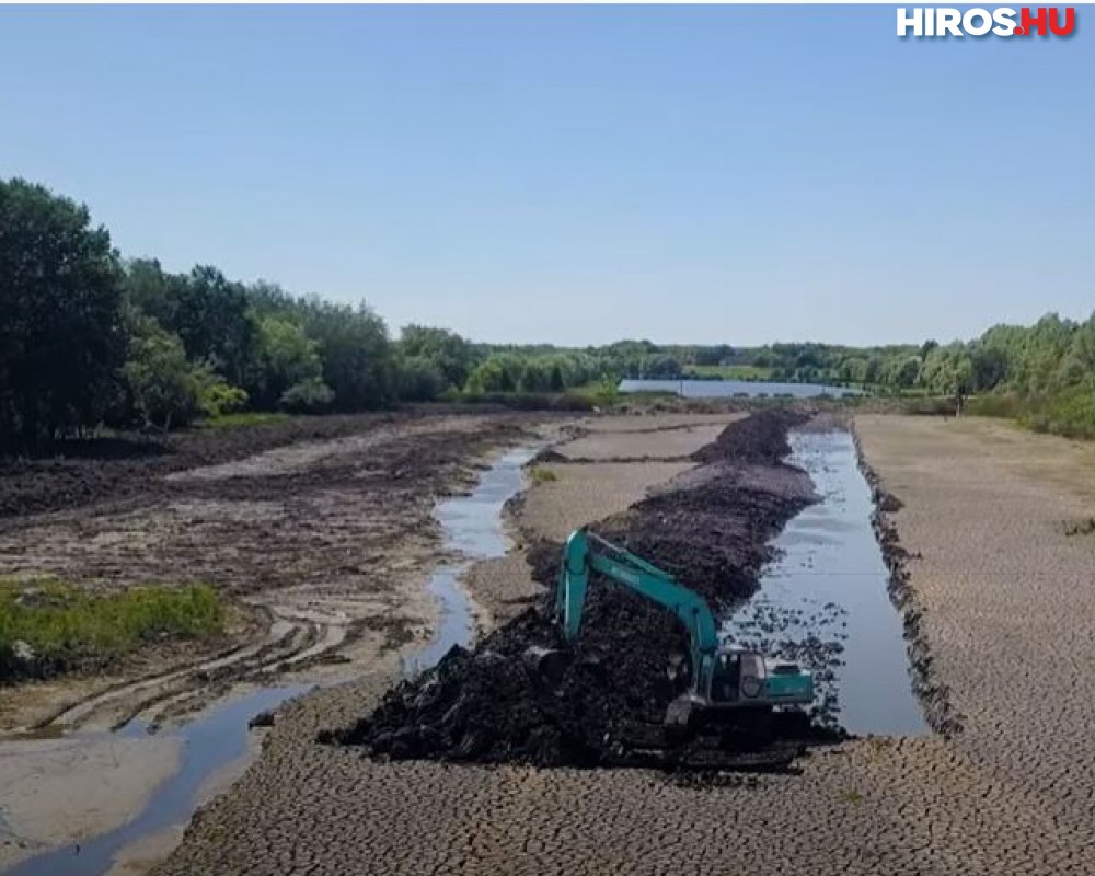 Újjáéled a Holt-Tisza holtágainak élővilága