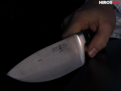 Késsel végzett 81 éves édesanyjával
