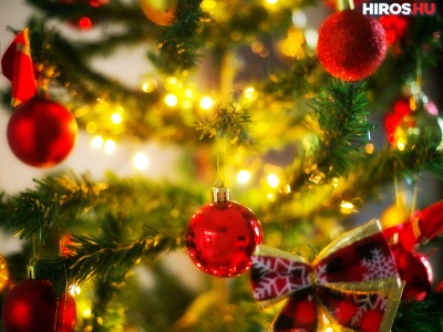 Milyen fát válasszunk karácsonyra? - videóval