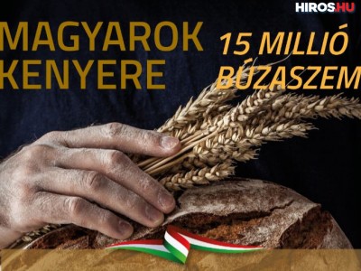 Magyarok Kenyere – 15 millió búzaszem program: várják az adományokat