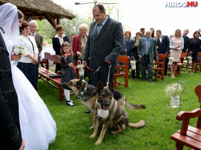 Állati jó esküvő