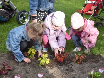 Idén is lesz anyák napi virágültetés a főtéren