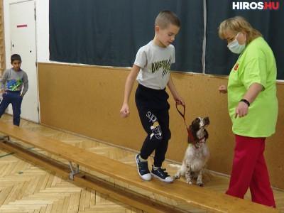 Terápiás kutyusokkal segítik a pedagógusok munkáját – VIDEÓ