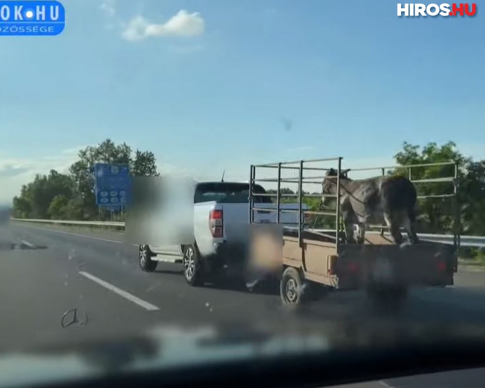 150-nel száguldott az M5-ösön egy szamárral