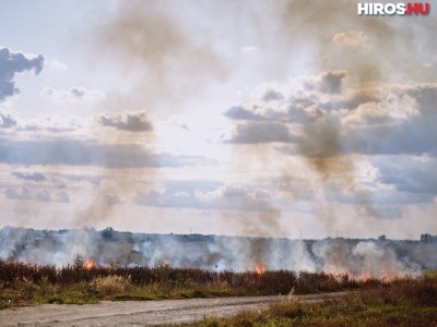 Ötszáz négyzetméteren égett a tarló Kalocsán