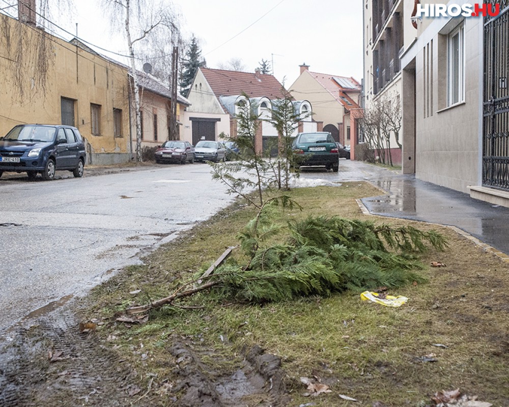 Tujatetem a Sarkantyú utcában