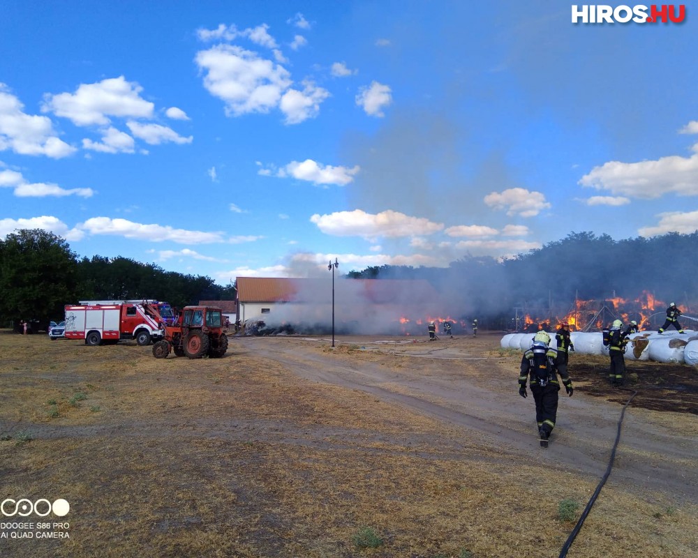Tűz van Lajosmizse közelében - VIDEÓVAL